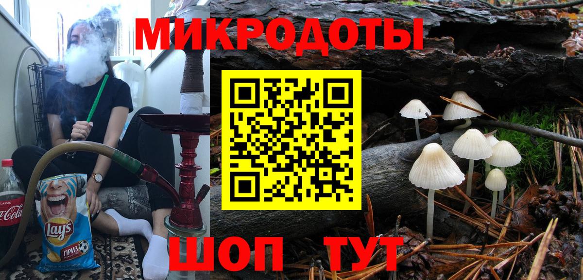 Фурманов  Галлюциногенные грибы Cubensis  Вход с VPN 